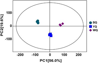 Analysis of the Formation of Sauce-Flavored Daqu Using Non-targeted Metabolomics